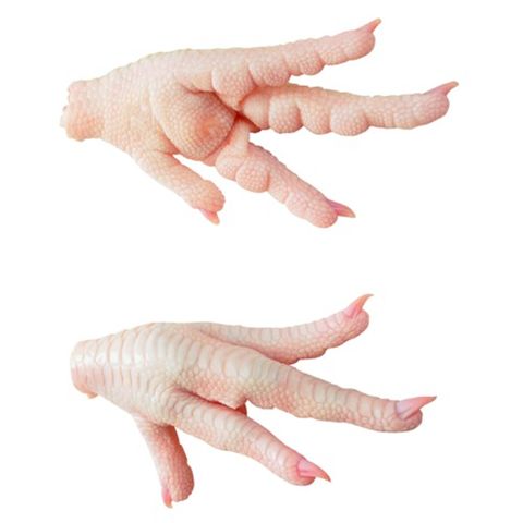 Chicken Feet 4 Chicken Feet Online Suppliers | Bulk Exporters Brazilian Chicken 3