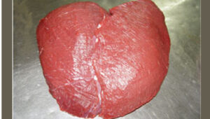 Beef Cuts Rump