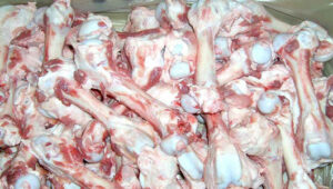 Frozen Pork Femur Bones